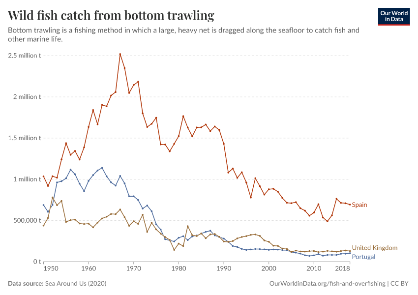 Wild fish catch from bottom trawling
